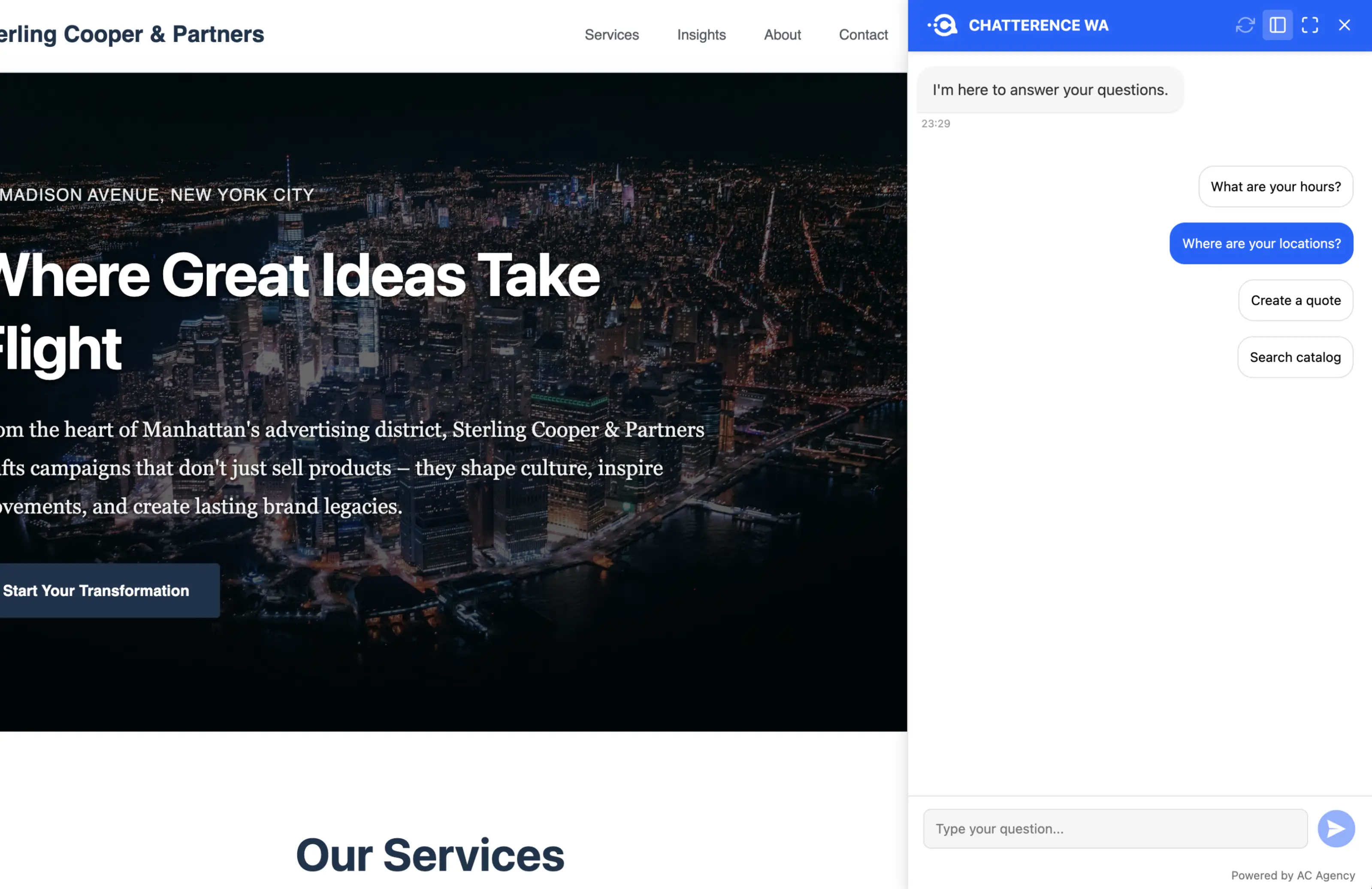 Web Assistant Interface